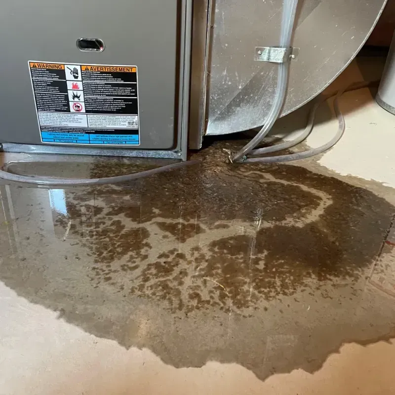 Appliance Leak Cleanup in Verona, KY